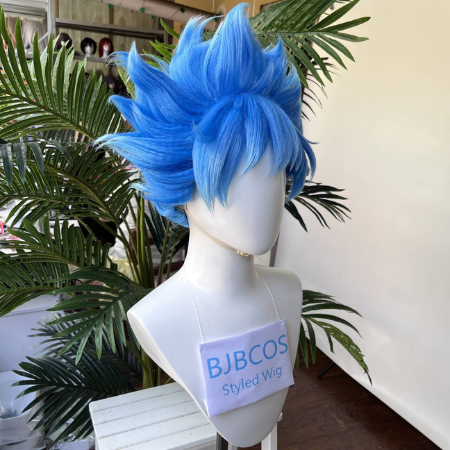 [Styled Wig]Twisted Wig Wonder – Men Accessories Style Bewertung und Preis