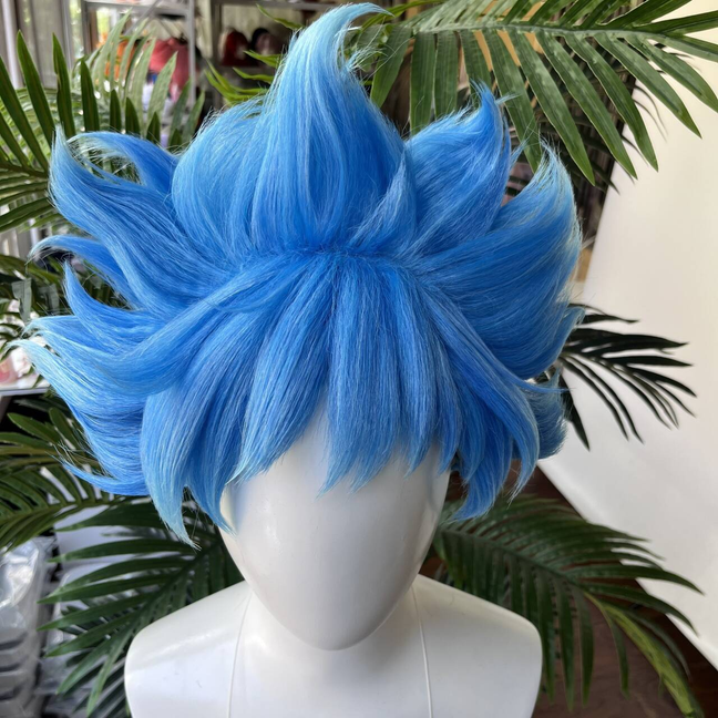 [Styled Wig]Twisted Wig Wonder – Men Accessories Style Bewertung und Preis